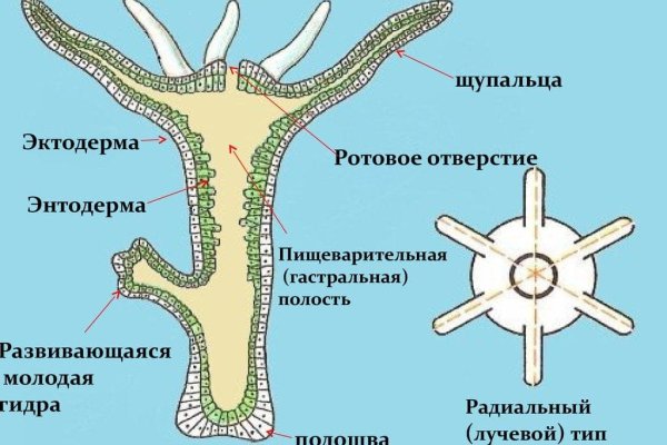 Кракен наркоплейс