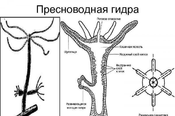 Ссылка для входа на сайт kraken