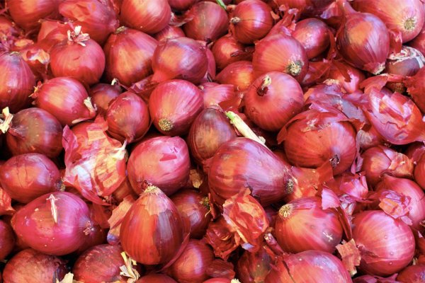 Даркнет маркет кракен onion