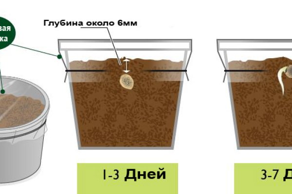 Кракен как зайти через тор браузер