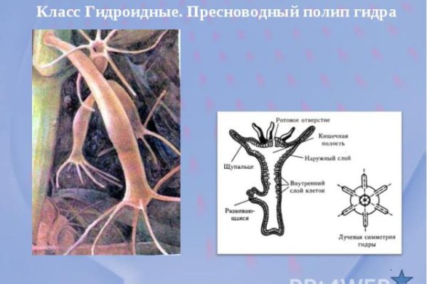 Кракен магазин наркотиков