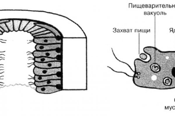 Ссылки на кракен блэкспрут